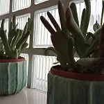 Apartment, דירה מרינה די רוונה