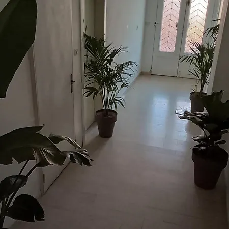 Apartment, Διαμέρισμα