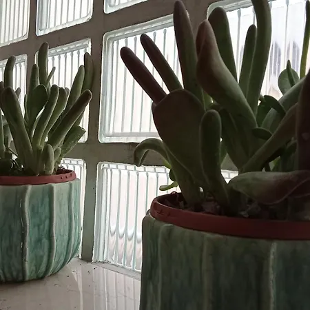 Apartment, Διαμέρισμα Marina di Ravenna