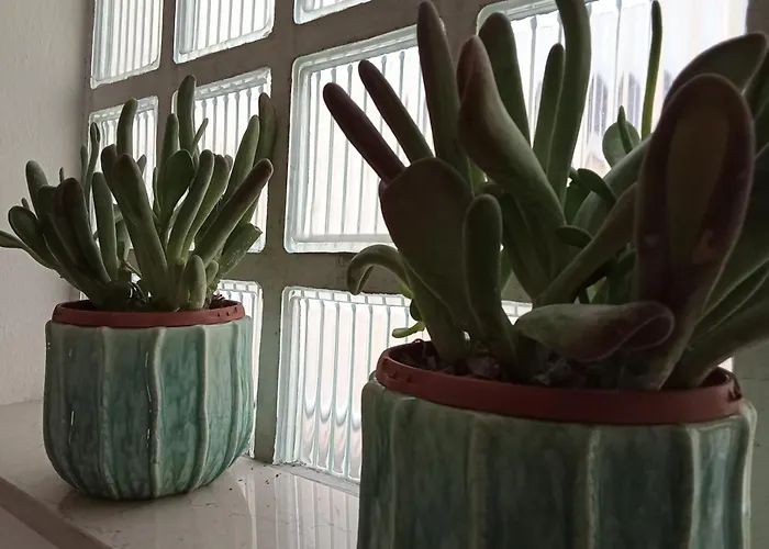 Apartment, 公寓 马里纳－迪拉文纳